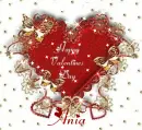 Happy Valentines Day-Ania
