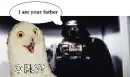 Darth vader talking with o rly owl