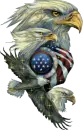 American Eagle