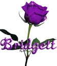 purple rose bridgett