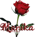 red rose manika