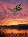 sunset -- smuteczek