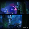 Jake & Neytiri