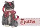 Black cat with bow - Dottie
