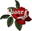 Butterfly Red Rose - Diane