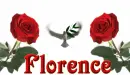 White Dove -- Florence
