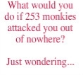 just wondering...