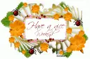 Have