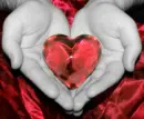 HEART IN THE HANDS
