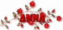 RED ROSE 