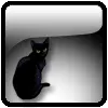 Black Cat
