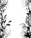 Black and White Backaground Starry