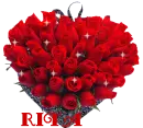 Red Roses-Rita