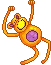 monkey animal