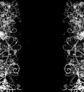 Backaground Black