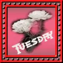 tuesday