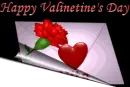Happy Valentine's Day Nita