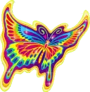 rainbow butterfly