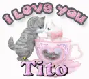 cute cats i love you
