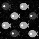 fugufish?