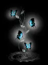 Batterfly