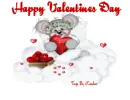HAPPY VALENTINES DAY CREDDY BEAR