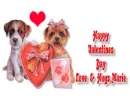 Dogs