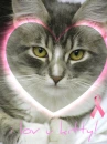 Kitty