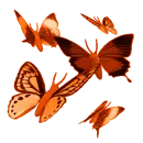 batterfly