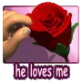 he loves me, he loves me not