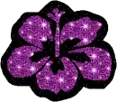 tropical flower