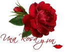 una rosa y un beso