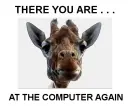 THERE YOU ARE