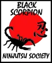 Ninja Graphic Large