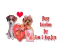Happy Valentines Day