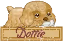 Puppy - Dottie