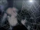 black widow
