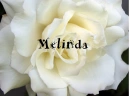 Melinda