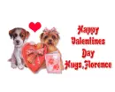 Happy Valentines Day