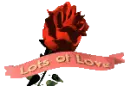 lots of love