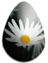 Flower egg
