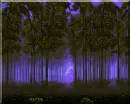 fantasy forest