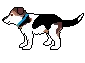 beagle!