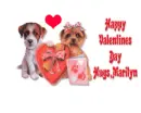 Happy Valentines Day