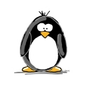 Cute penguin