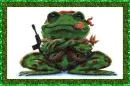 rebel frog