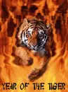 year of the tiger