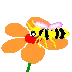 bee