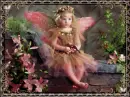 Fairy