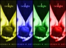 twilight color bars